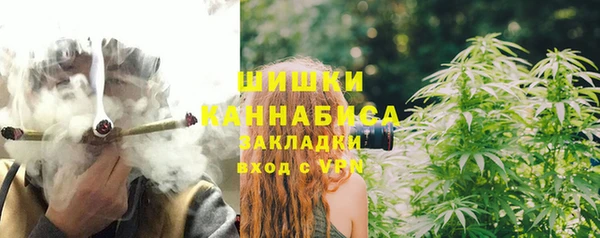 PSILOCYBIN Мегион