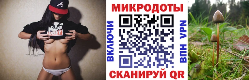 Купить закладки Баймак Псилоцибиновые грибы мицелий